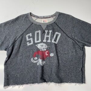 Todd Snyder x Champion Cropped Sweatshirt SOHO Size Medium